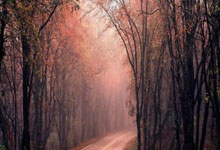 [澳网]男单半决赛：德约科维奇VS小兹韦列夫 集锦.