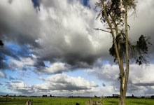 世界杯亚洲区外围赛:伊朗以2比0击败阿联酋.