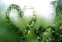 问鼎娱乐官网:龙舟运动在国际上蓬勃发展,更多老外迷上中国龙舟文化环球时报.