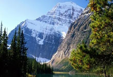 关注度高,记者:目前中澳之战现场记者已超过百名.