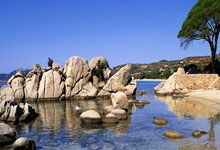 [NBA]八村塁晃飞杜兰特 突破篮下灌筐得手.